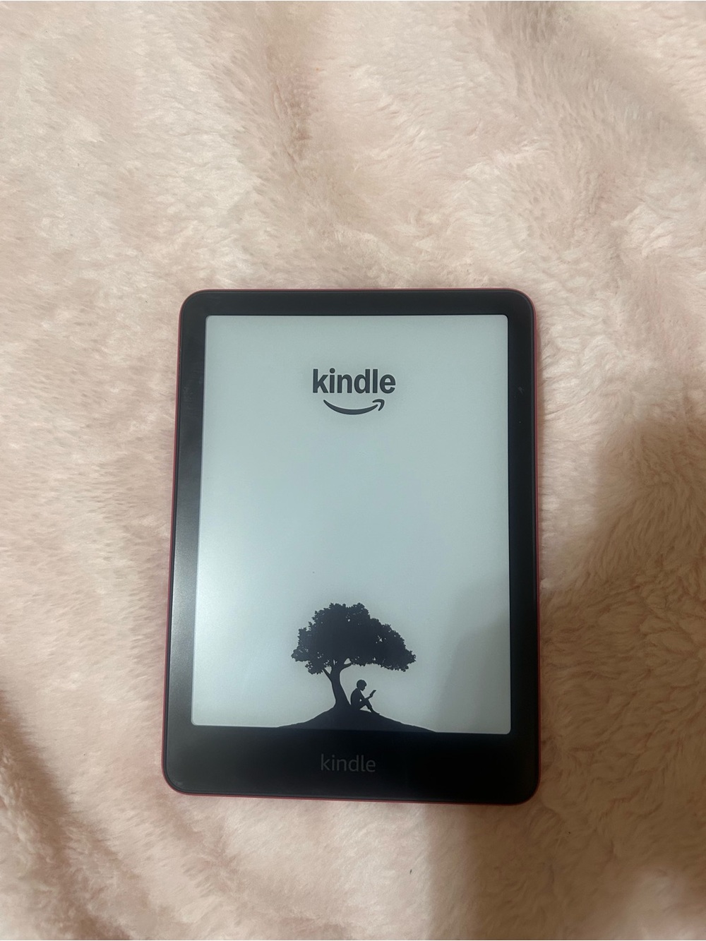 Amazon Kindle E-Reader - raspberry